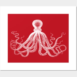 Octopus | Vintage Octopus | Tentacles | Sea Creatures | Nautical | Ocean | Sea | Beach | Red and White | Posters and Art